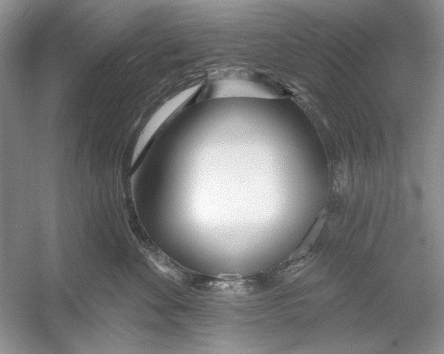 X0000053000524200508051137