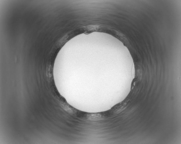 X0000053000525200508051137