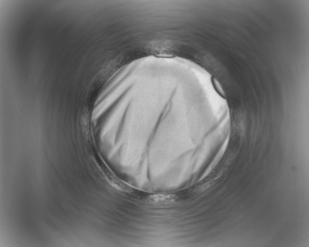 X0000053000526200508051137