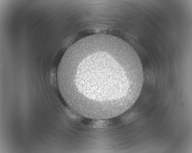 X0000053000527200508051137