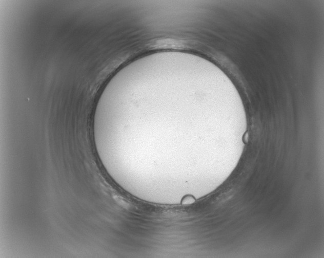 X0000053000529200508051136