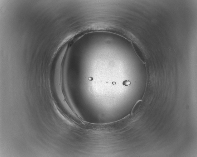 X0000053000530200508051136