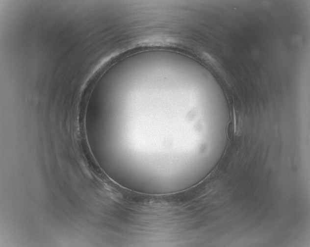 X0000053000531200508051136