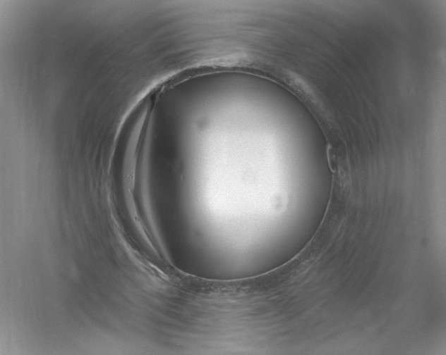 X0000053000532200508051136