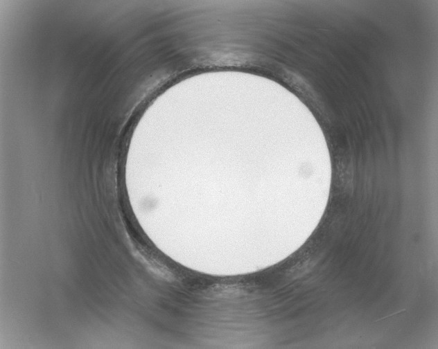 X0000053000534200508051137