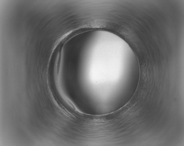 X0000053000536200508051137