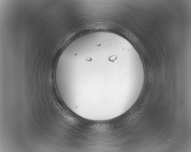 X0000053000537200508051137