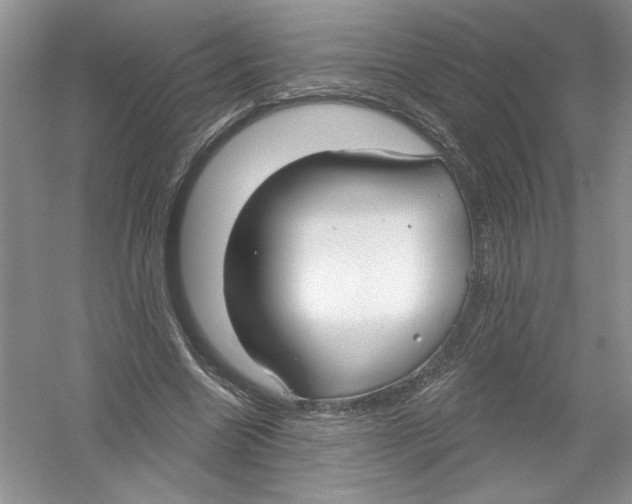 X0000053000538200508051137