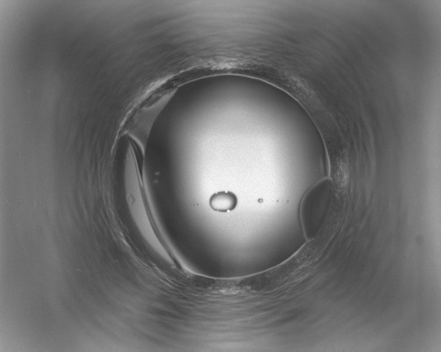 X0000053000540200508051137