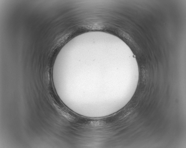 X0000053000541200508051137