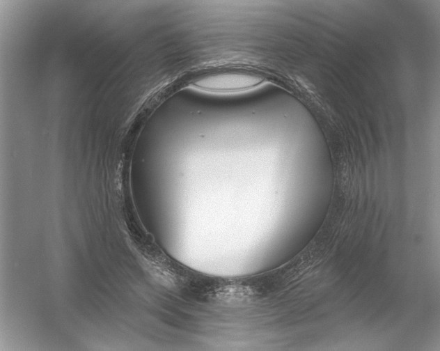 X0000053000543200508051137