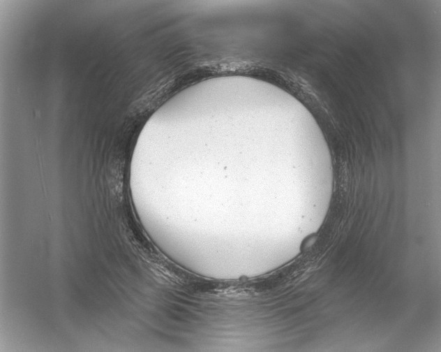 X0000053000545200508051137