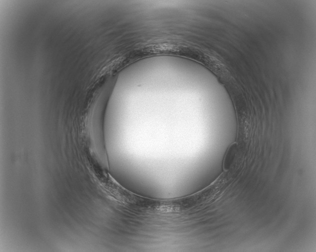 X0000053000546200508051137