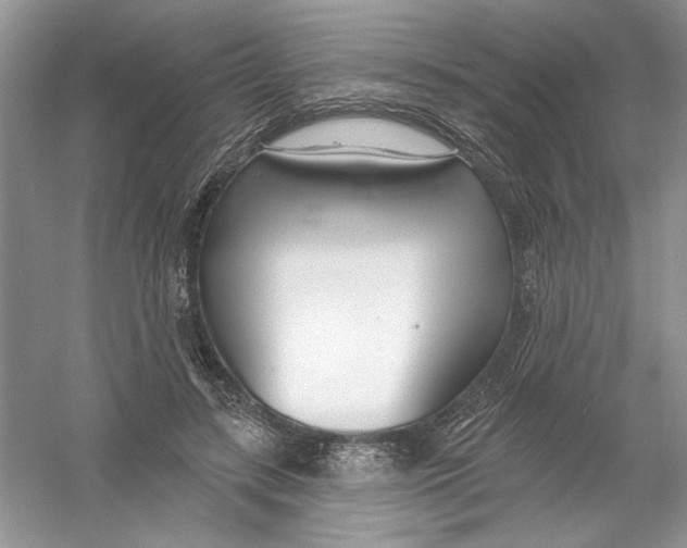 X0000053000547200508051137