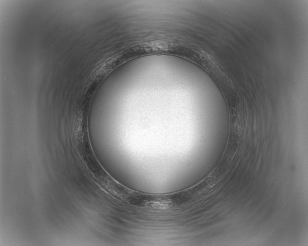 X0000053000548200508051137