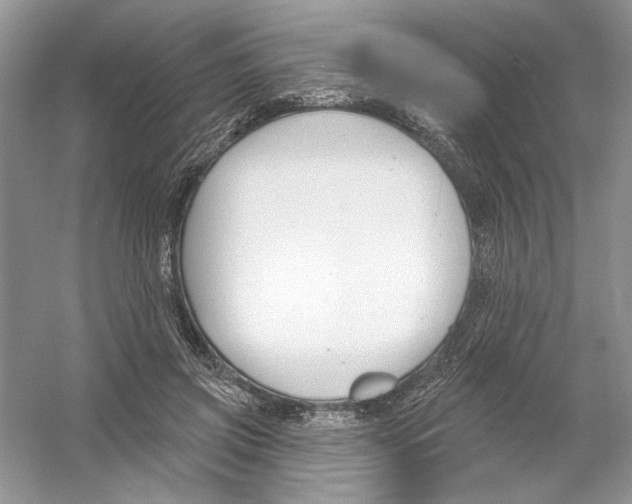 X0000053000549200508051137