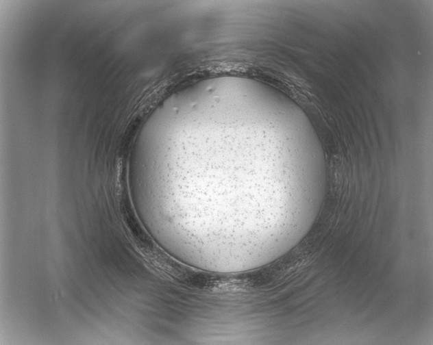 X0000053000550200508051137