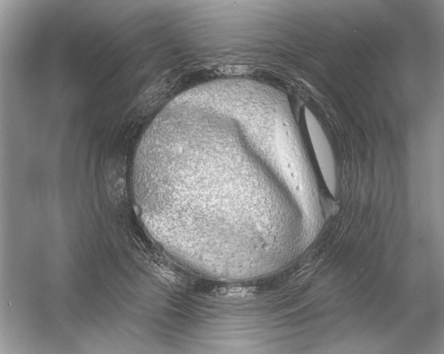 X0000053000553200508051137