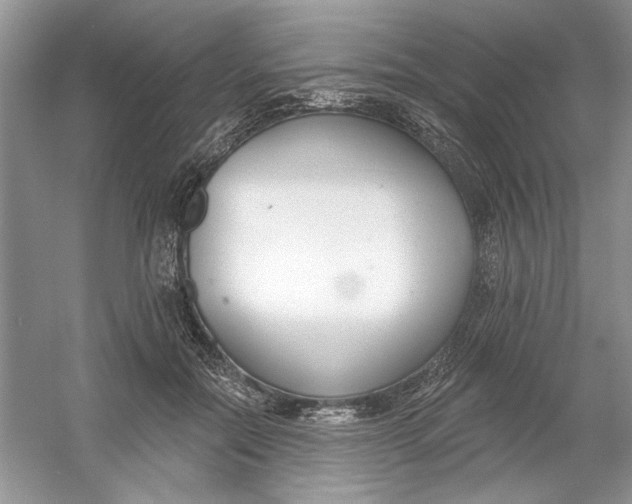 X0000053000554200508051137