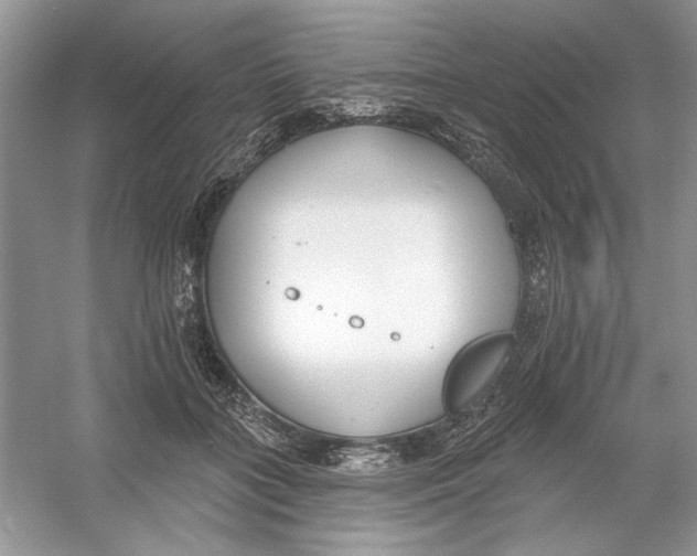 X0000053000555200508051137