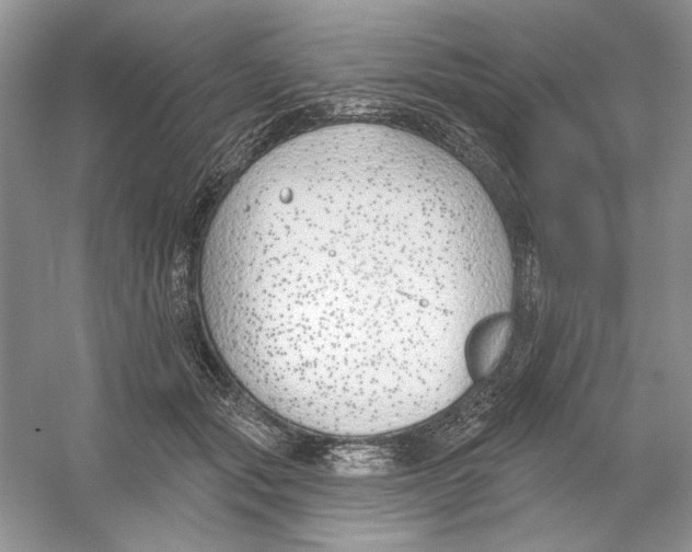 X0000053000557200508051137