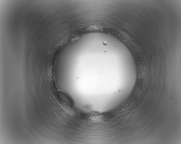 X0000053000560200508051137