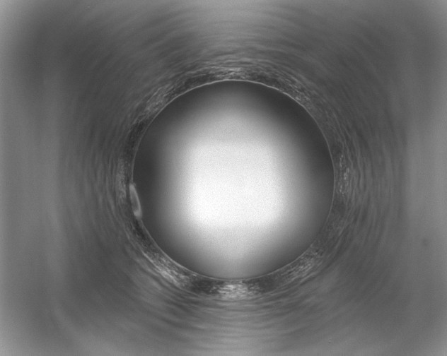 X0000053000562200508051137