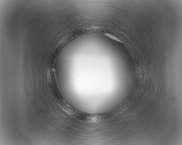 X0000053000564200508051137