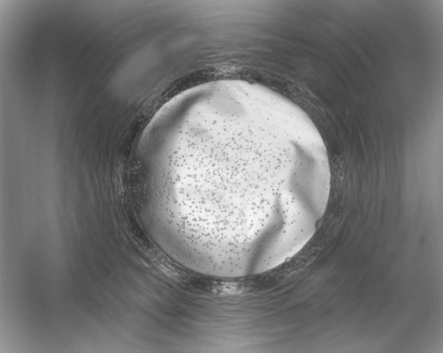 X0000053000565200508051137