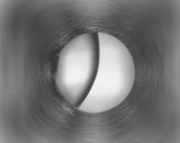 X0000053000566200508051137