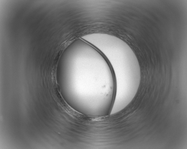 X0000053000568200508051137