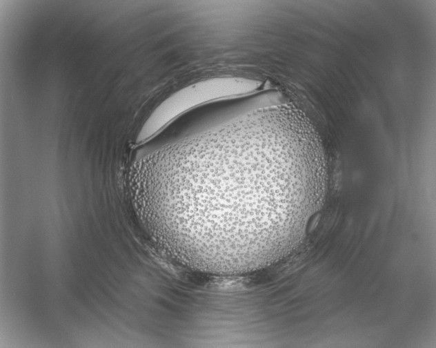 X0000053000569200508051137