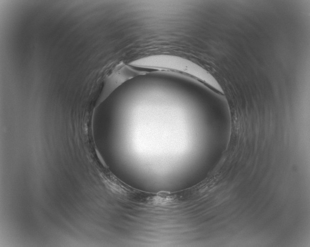 X0000053000570200508051137