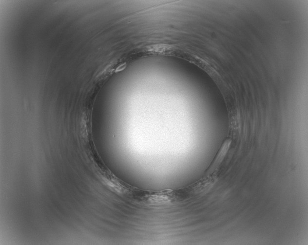 X0000053000572200508051137