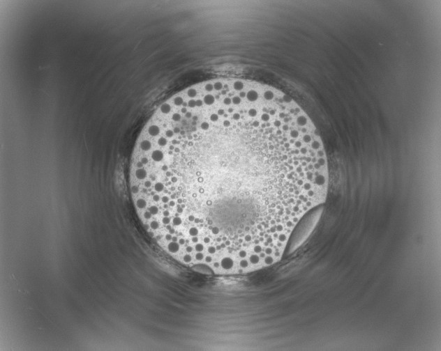 X0000053000573200508051137