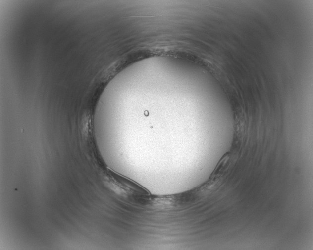 X0000053000574200508051137