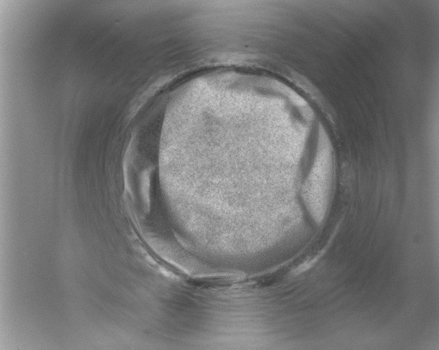 X0000053000577200508051136