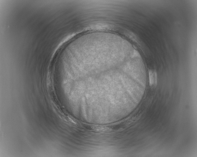 X0000053000579200508051136