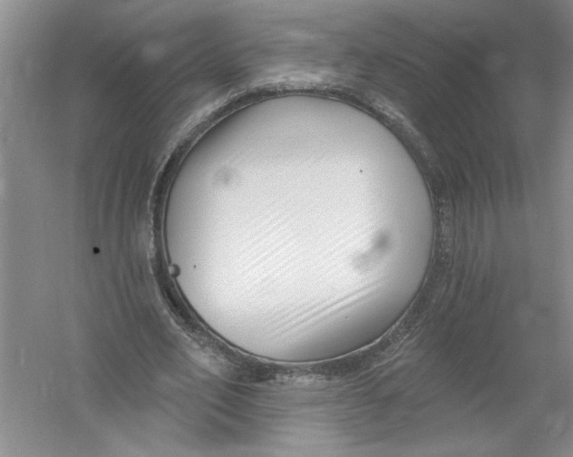 X0000053000582200508051136