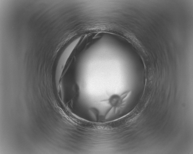 X0000053000585200508051136