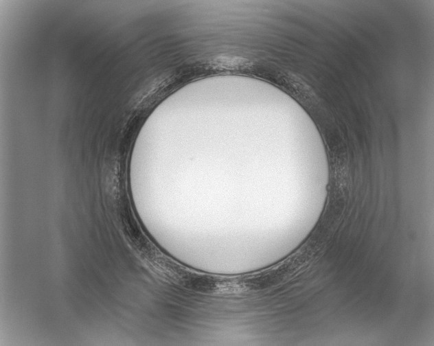 X0000053000591200508051136