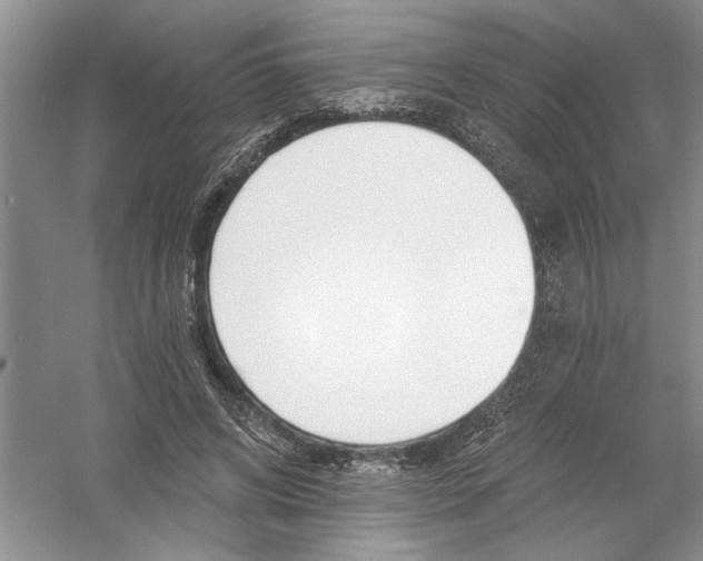 X0000053000592200508051136