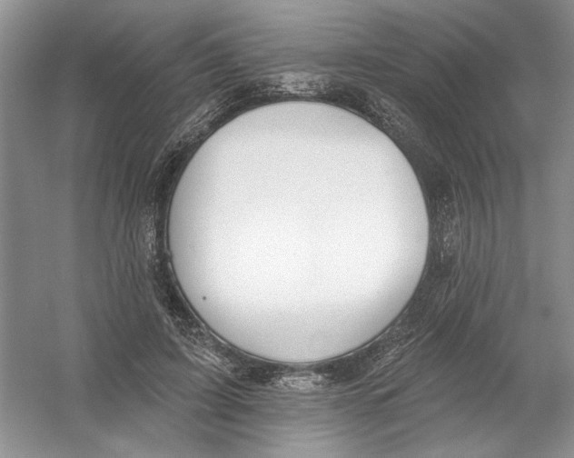 X0000053000595200508051136