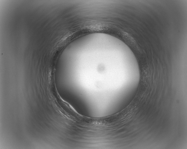 X0000053000596200508051136