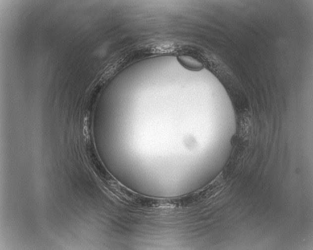 X0000053000598200508051136