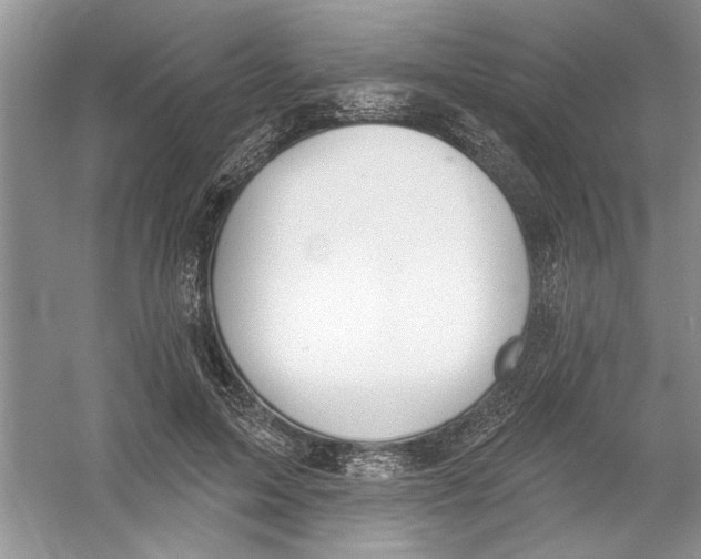 X0000053000599200508051136