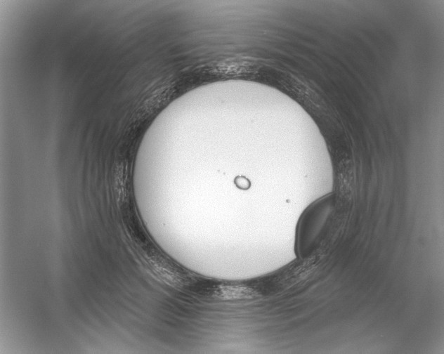 X0000053000605200508051136