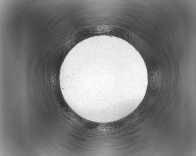 X0000053000608200508051136