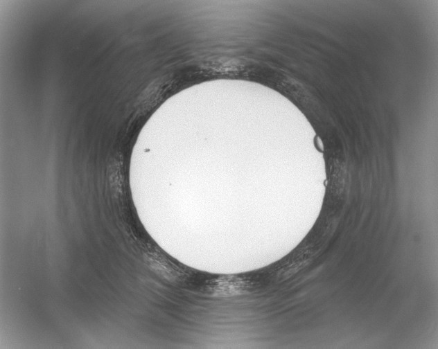 X0000053000612200508051136