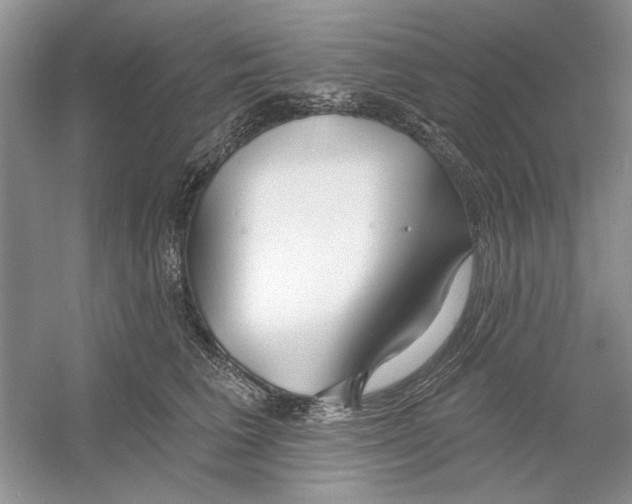 X0000053000613200508051136